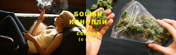 ALPHA PVP Белокуриха