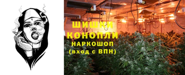 ALPHA PVP Белокуриха