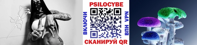 Псилоцибиновые грибы Psilocybe  Кунгур 