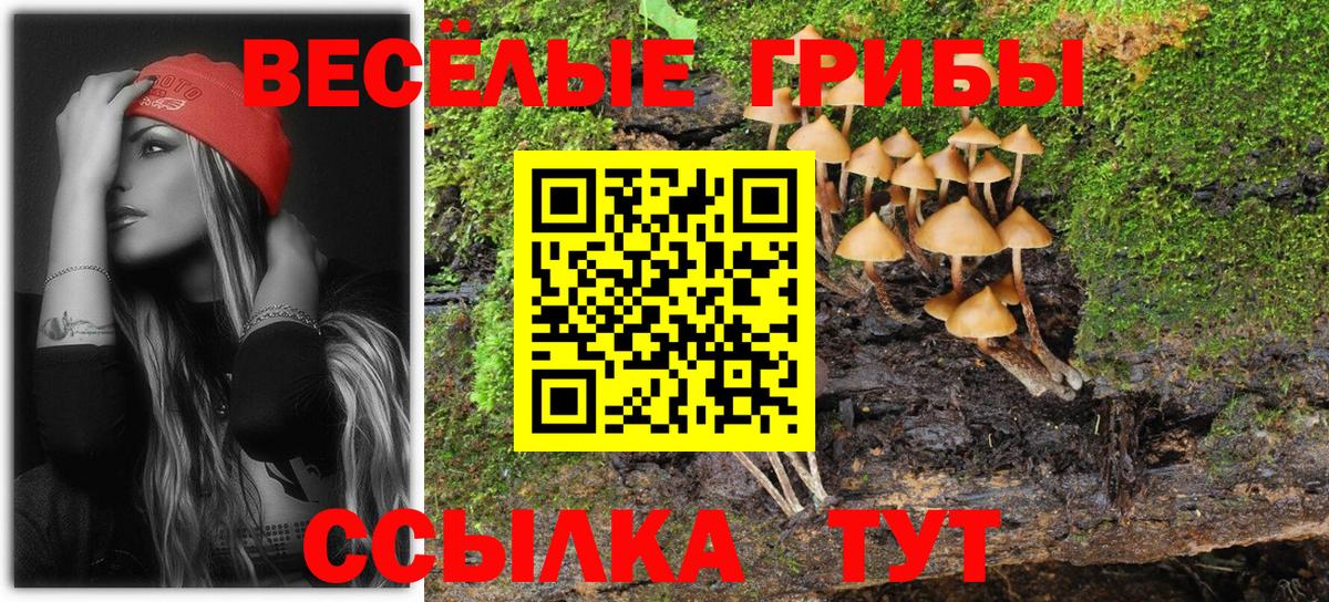 Галлюциногенные грибы ЛСД Кунгур